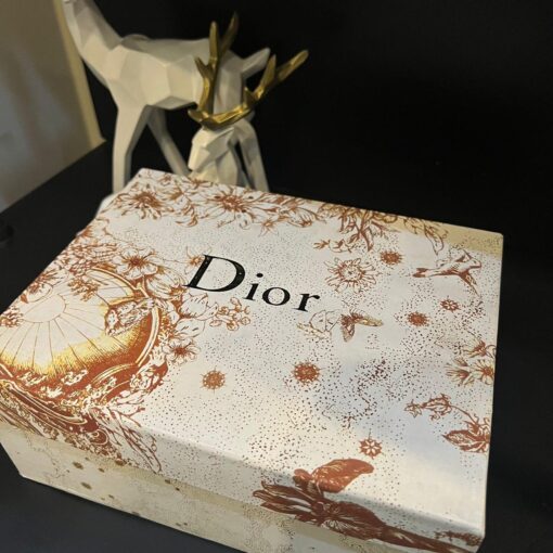 DIOR DIORAMA CHAIN SHOULDER BAG - Image 2