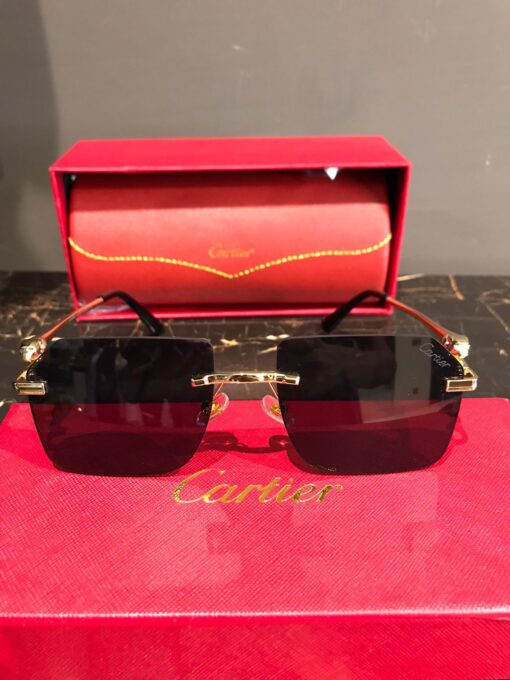 Cartier Men Sunglasses