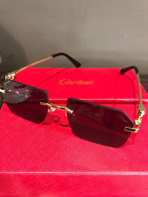 Cartier Men Sunglasses - Image 4